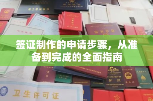 栾城签证制作的申请步骤，从准备到完成的全面指南
